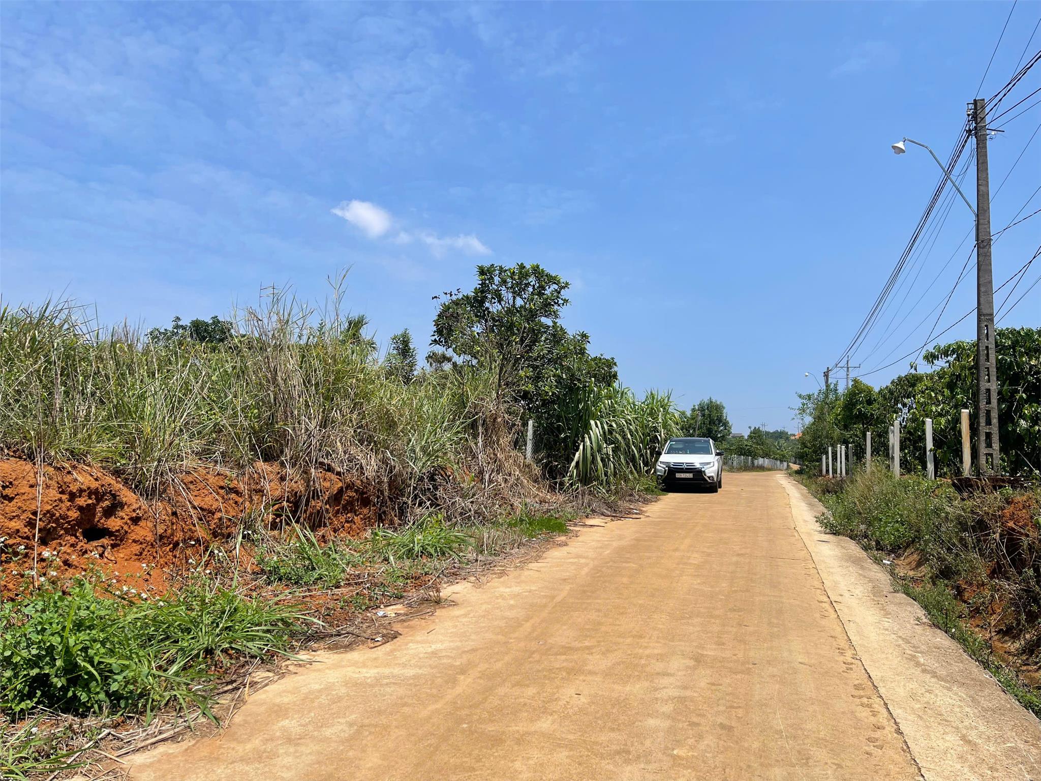 BÁN ĐẤT XÃ TÂN THANH VÙNG VEN ĐÀ LẠT CHÍNH CHỦ - Ảnh 3